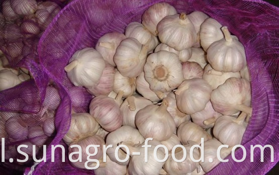 The bags of garlic